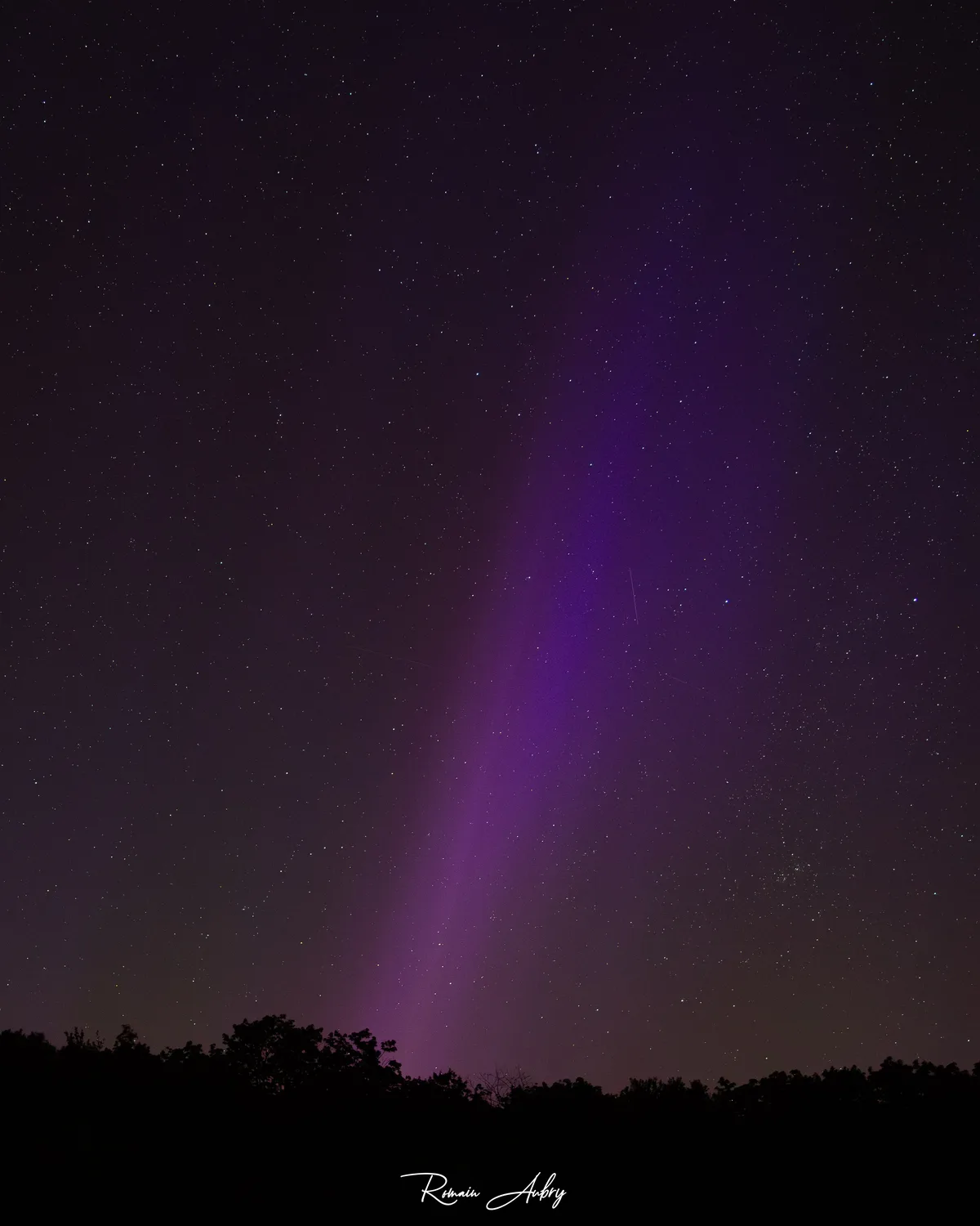 A lone mauve-pink ribbon of light crossing a starry sky above a treeline — a probable STEVE.